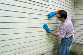 Best Vinyl Siding Installation  in Lacy Lakeview, TX